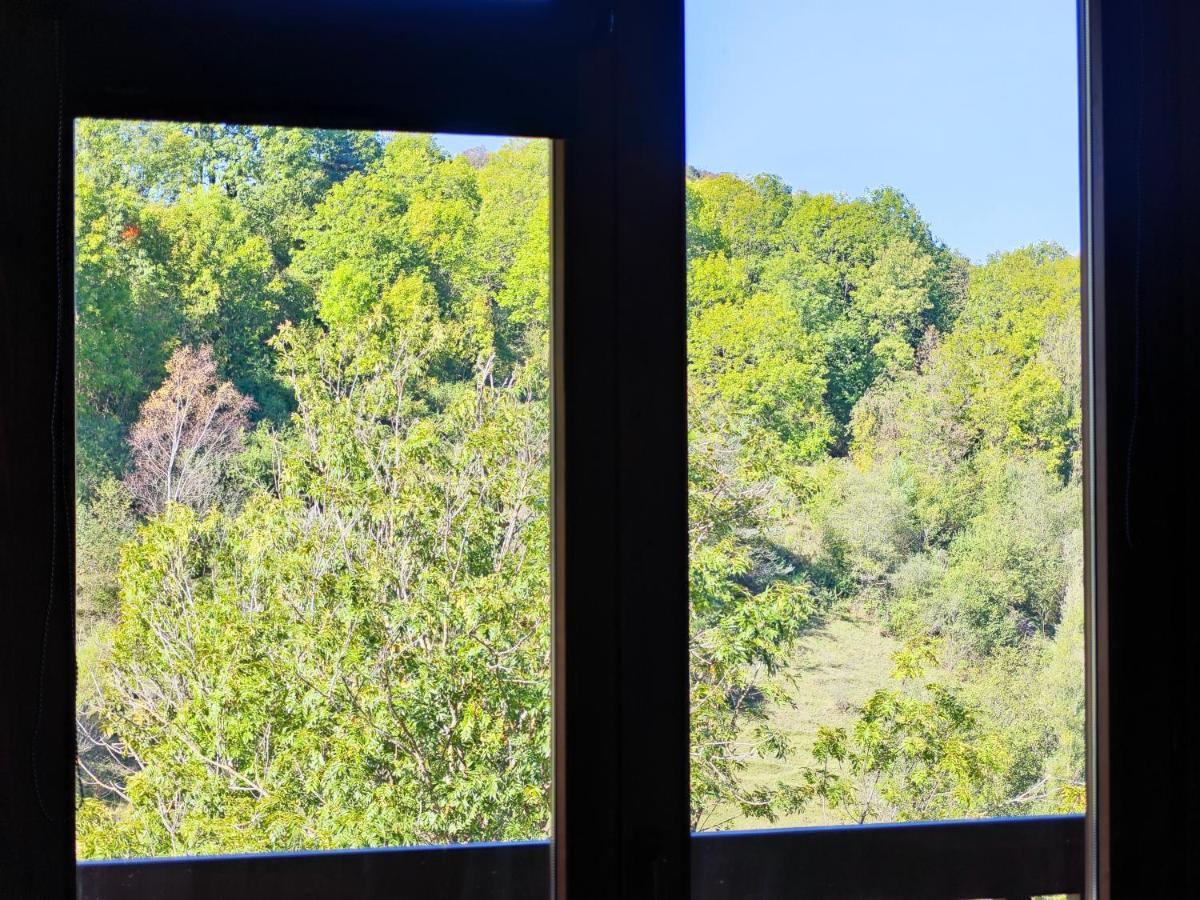 Els Tres Sols Villa Camprodon Luaran gambar